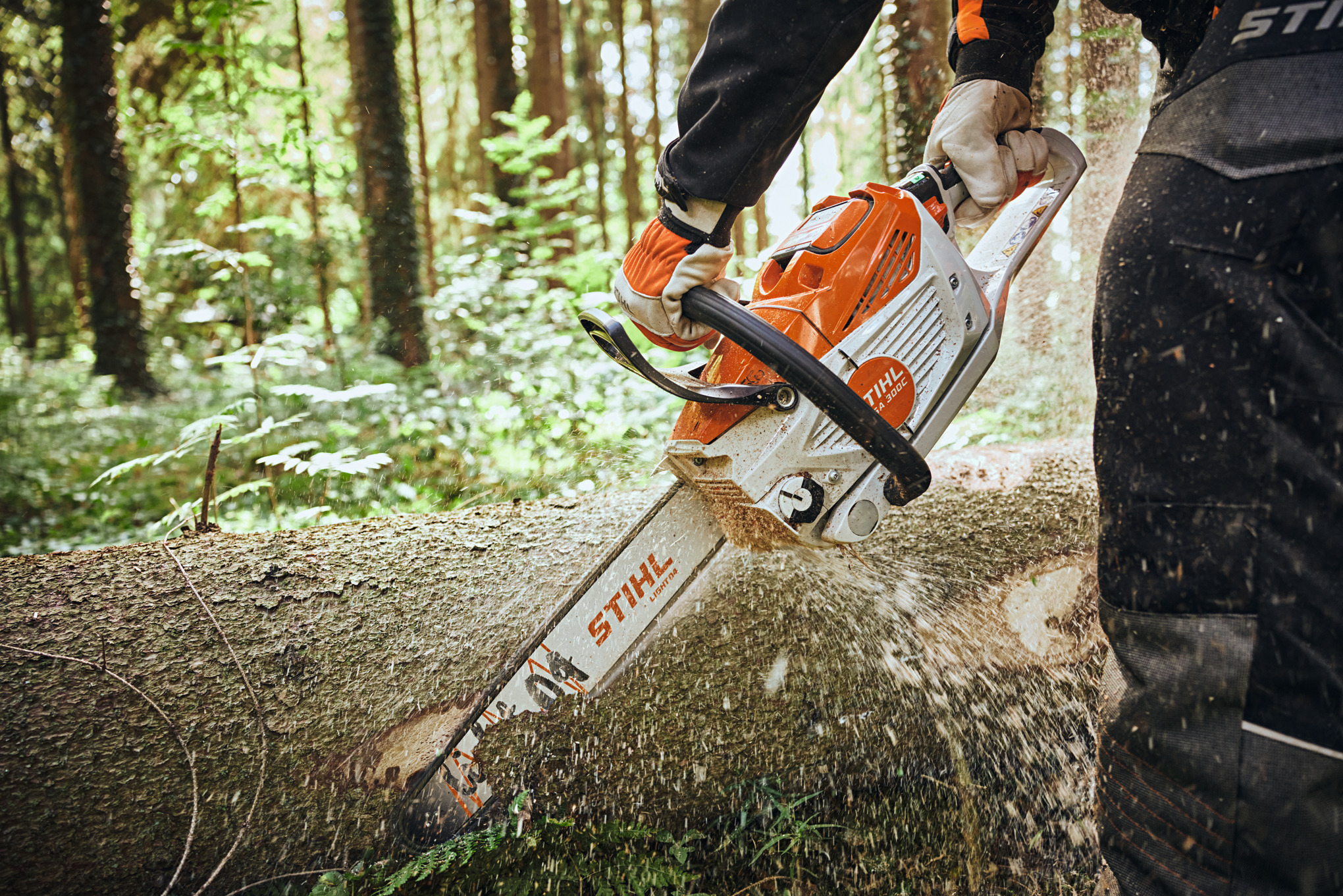 Image of chainsaw cutting a fallen tree