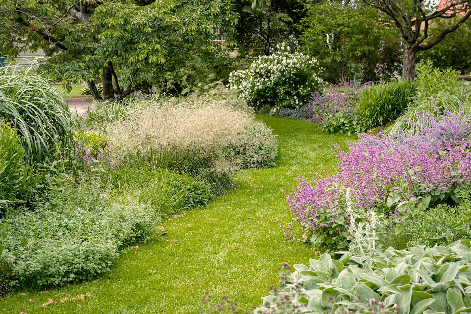 Curved lawn, path surrounded by shrubs and bushes, with trees at the back