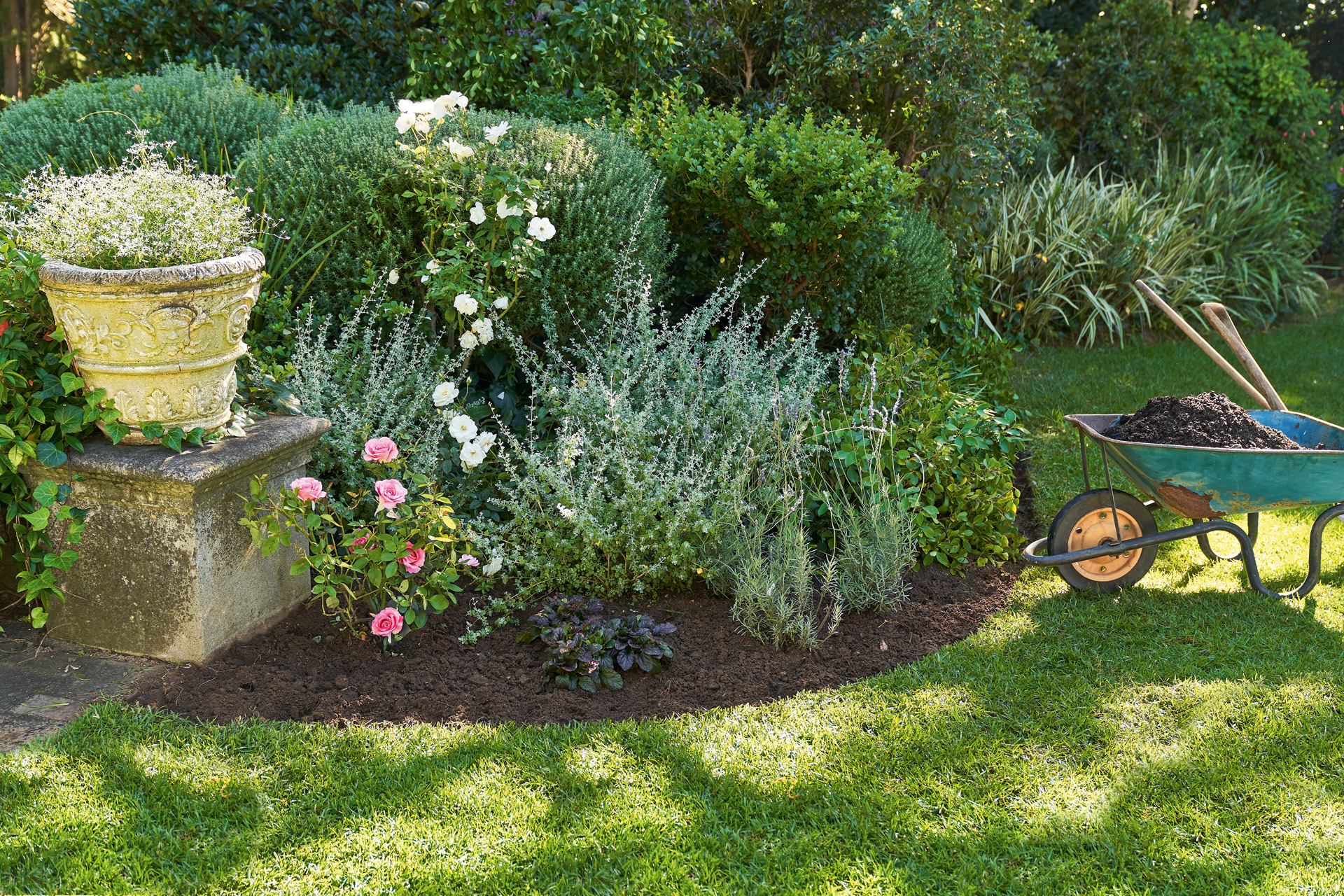 Bed with garden plants that need little water; next to it is a wheelbarrow with soil and garden tools